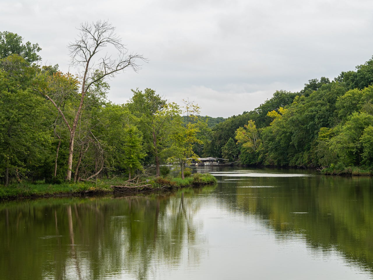 Pexels Photo 27782330