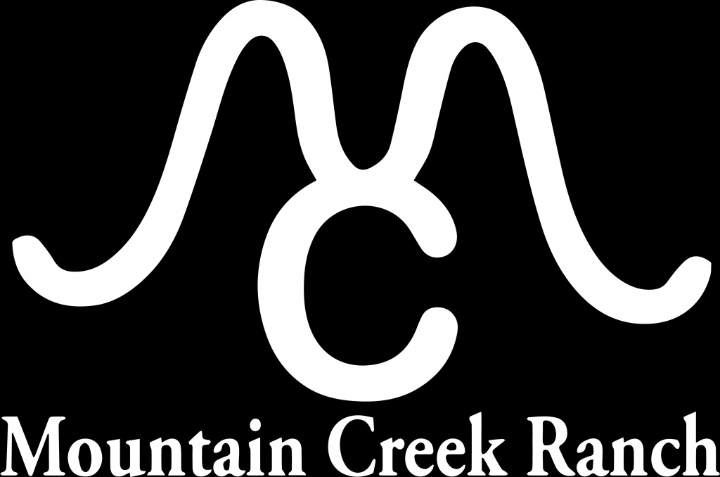 Mountain Creek 2 1024x678 1